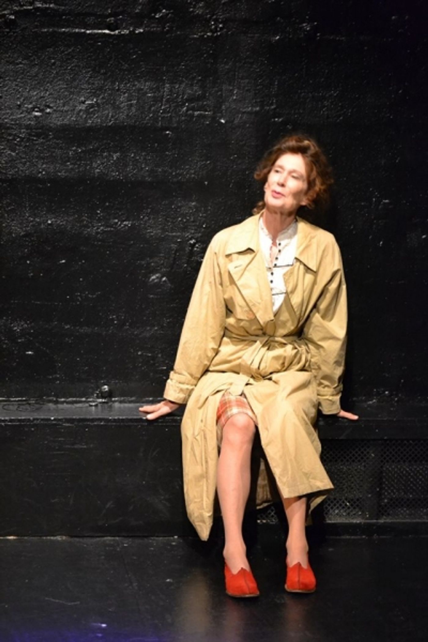 Photo Flash: First Look at Pennylynn White and More in Beautiful Soup's WHAT WAS LOST  Image