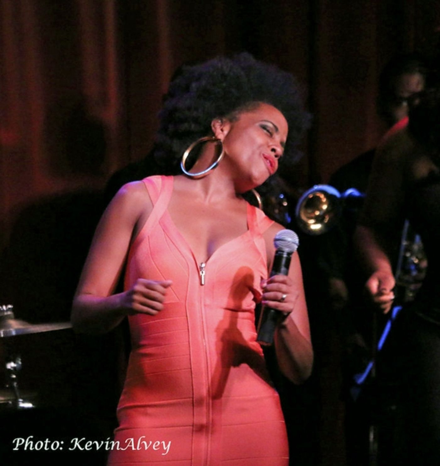 Photo Flash: Rhonda Ross Plays Birdland Jazz Club  Image