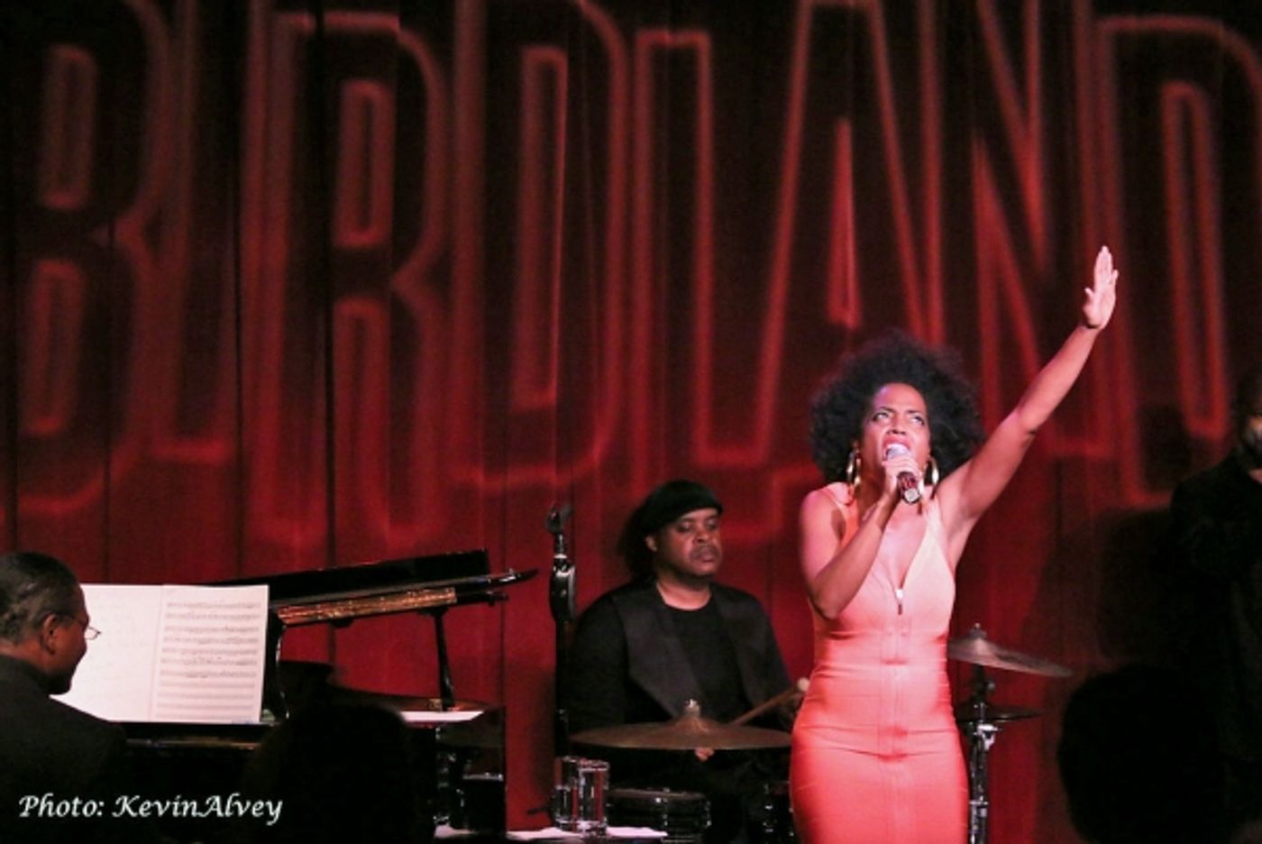 Photo Flash: Rhonda Ross Plays Birdland Jazz Club  Image