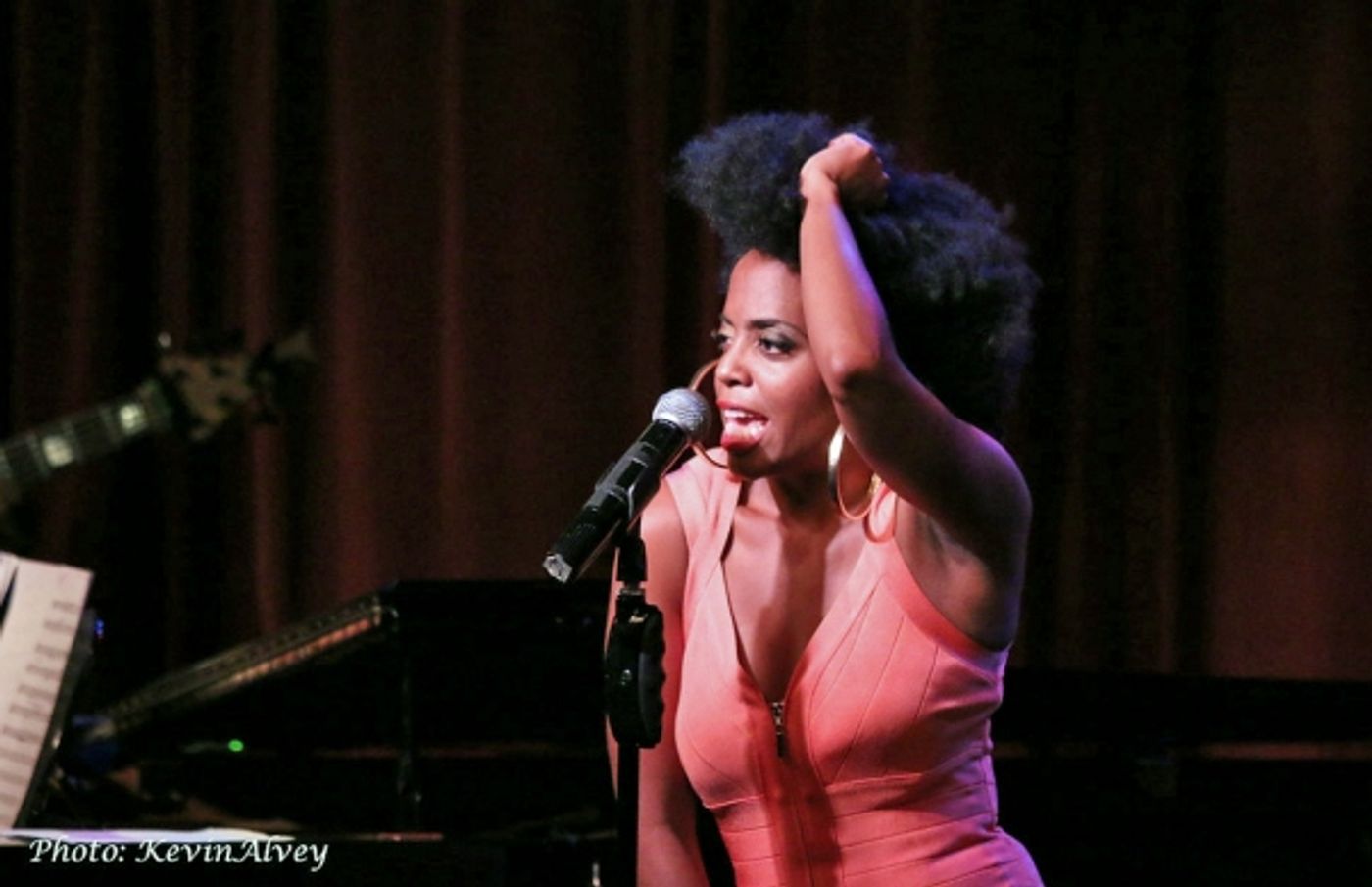 Photo Flash: Rhonda Ross Plays Birdland Jazz Club  Image