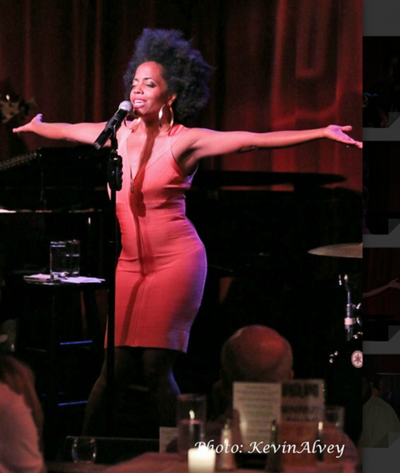 Photo Flash: Rhonda Ross Plays Birdland Jazz Club  Image