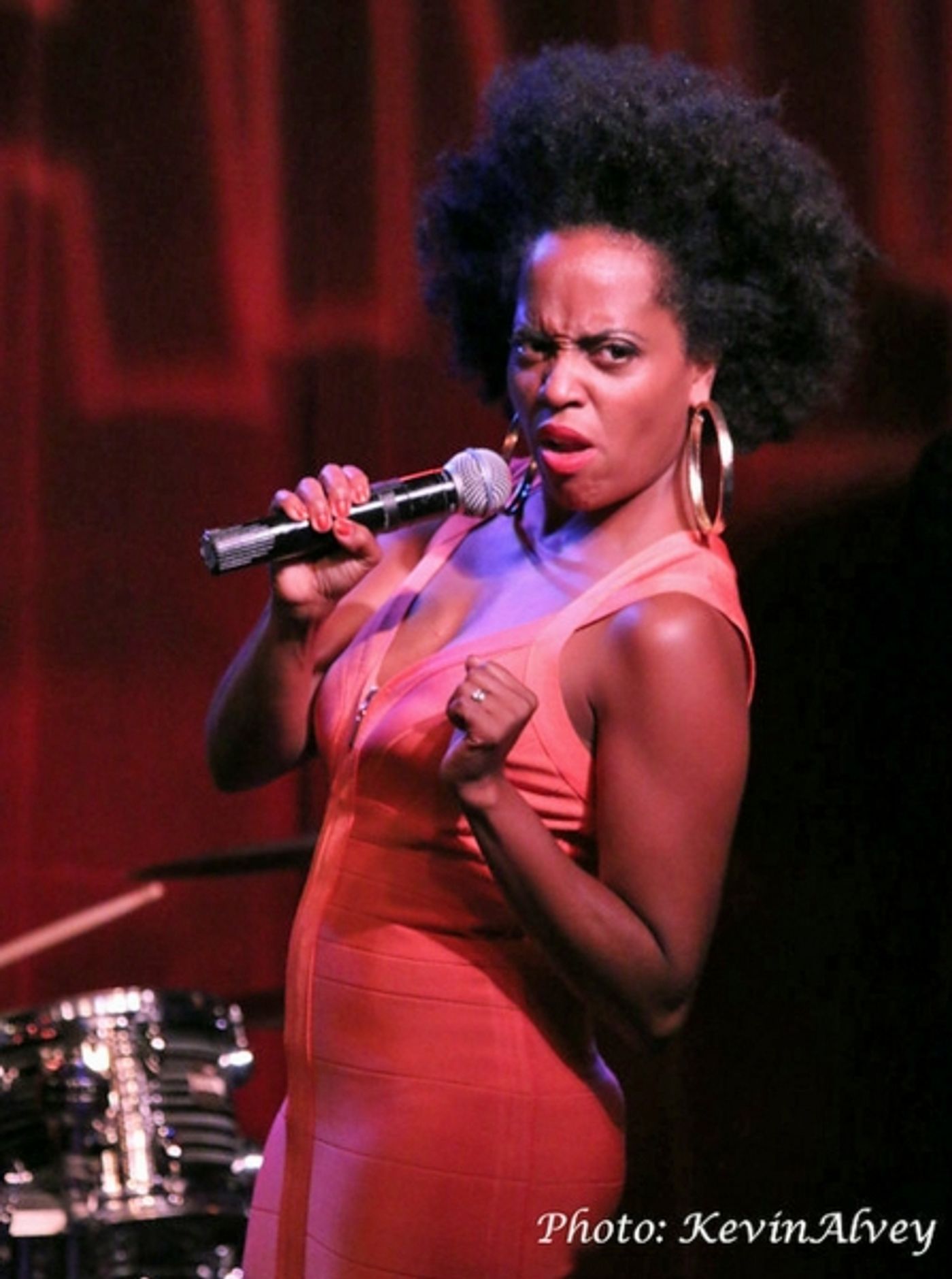 Photo Flash: Rhonda Ross Plays Birdland Jazz Club  Image