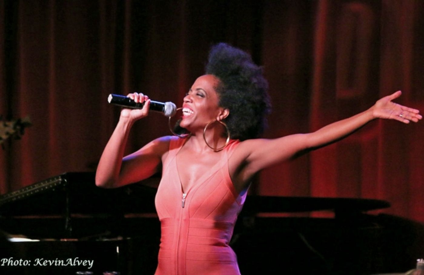 Photo Flash: Rhonda Ross Plays Birdland Jazz Club  Image