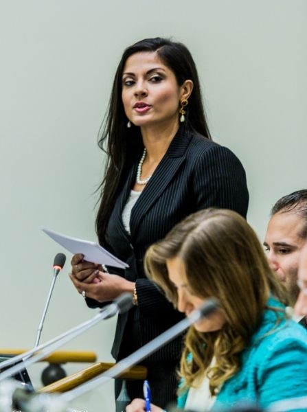 Photo Flash: THEY CALL ME Q's Qurrat Ann Kadwani Moderates Panel at United Nations — photo 4 of 5