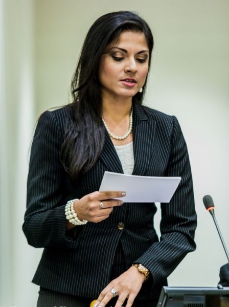 Photo Flash: THEY CALL ME Q's Qurrat Ann Kadwani Moderates Panel at United Nations — photo 3 of 5