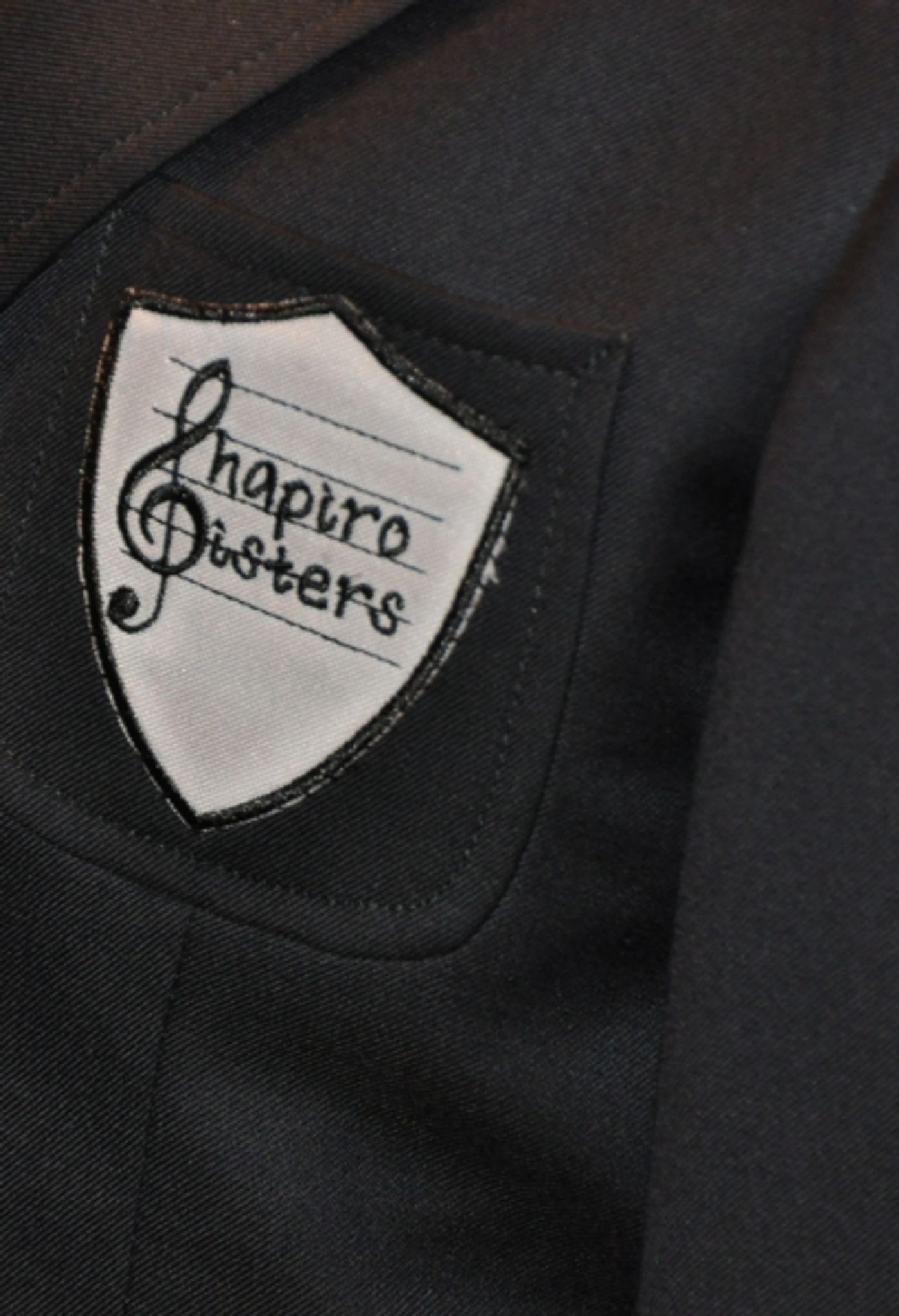 Photo Coverage: The Shapiro Sisters Celebrate CD Release at 54 Below  Image