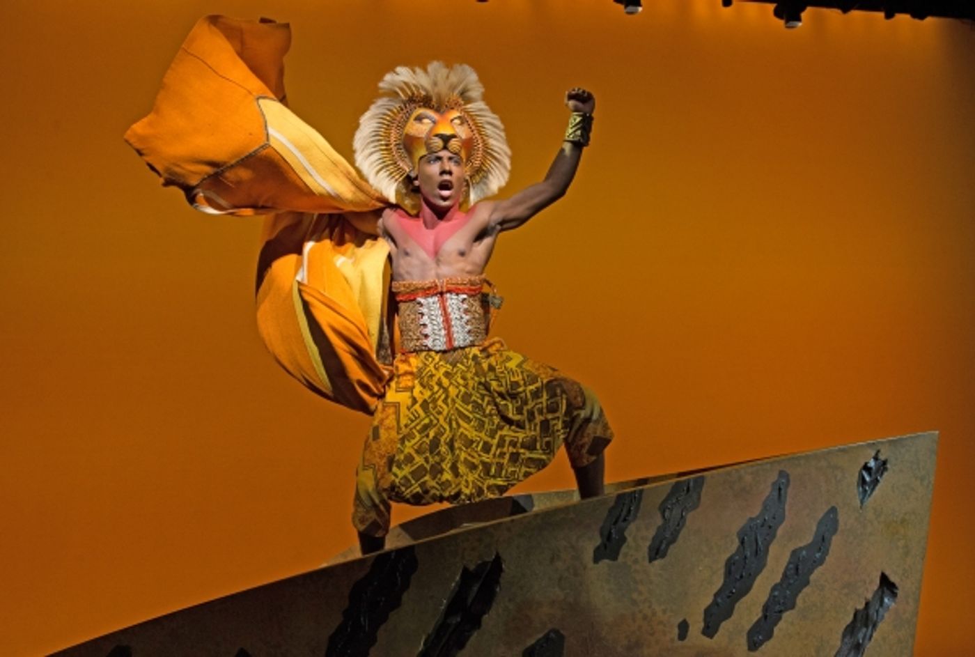 Photo Flash: THE LION KING Celebrates 7000 Performances; Meet the New Cast  Image