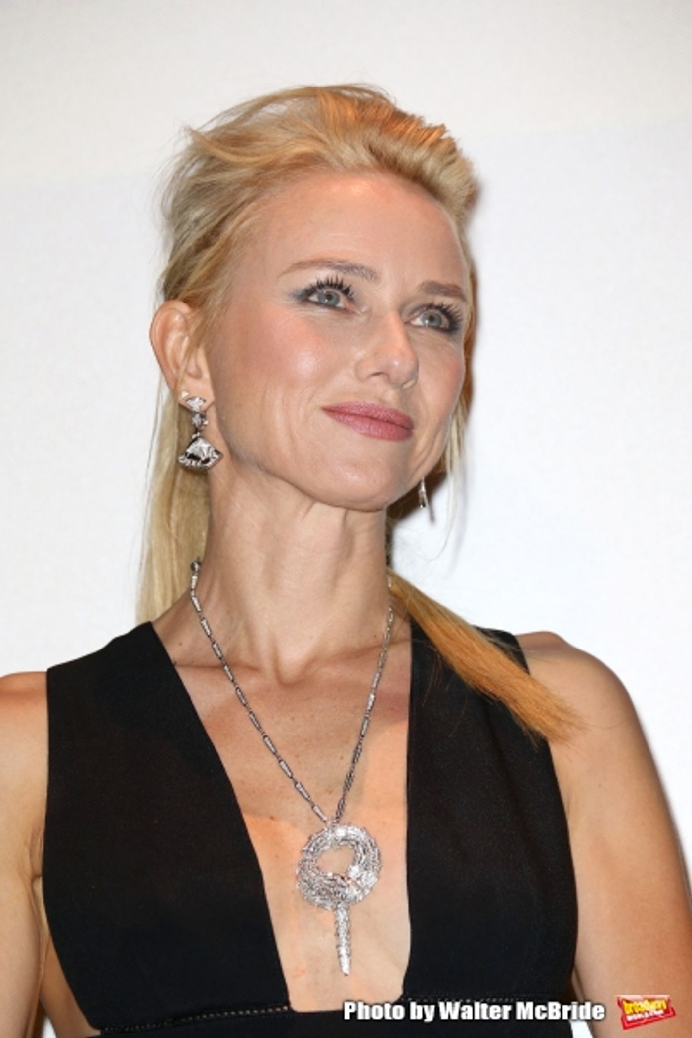 Photo Coverage: Inside TIFF's Presentation of ST. VINCENT with Bill Murray, Melissa McCarthy and Naomi Watts  Image