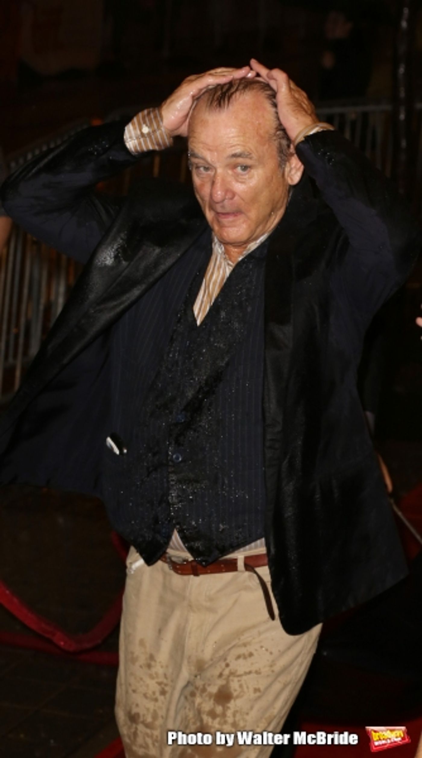 Photo Coverage: On the TIFF Red Carpet for ST. VINCENT  Image