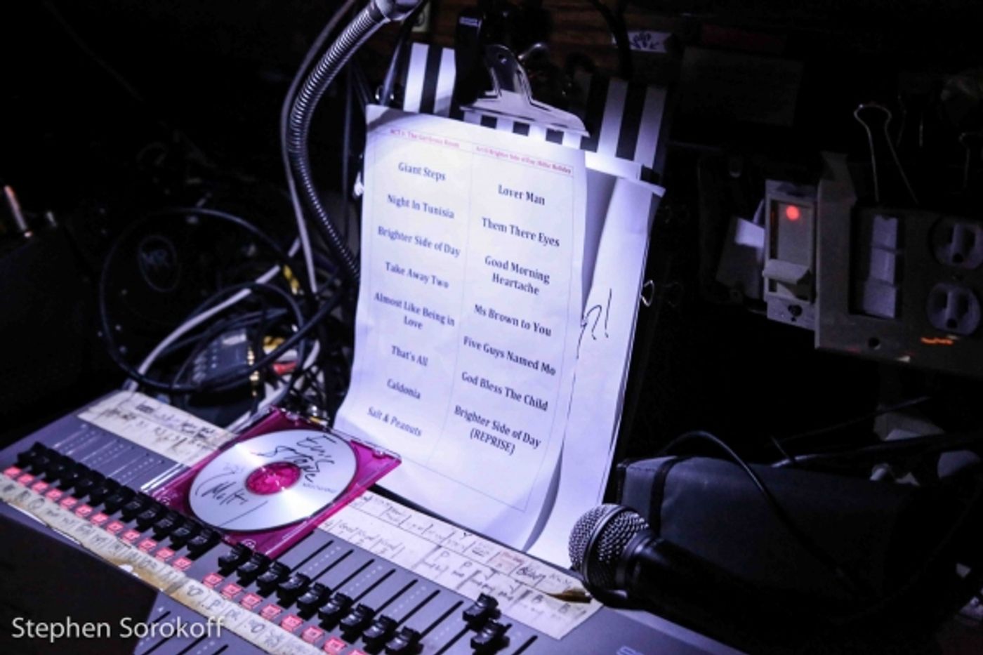 Photo Coverage: Kathy Sledge Brings THE BRIGHTER SIDE OF DAY to the Metropolitan Roon Photo Coverage: Kathy Sledge Brings THE BRIGHTER SIDE OF DAY to the Metropolitan Roon Image