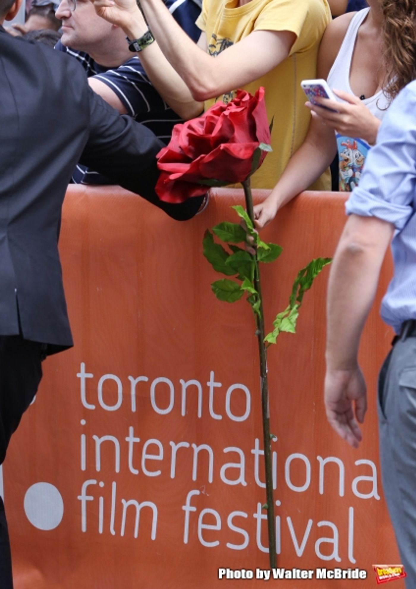 Photo Coverage: On the TIFF Red Carpet for WHILE WE WERE YOUNG with Ben Stiller, Adam Driver, Amanda Seyfried & Naomi Watts Photo Coverage: On the TIFF Red Carpet for WHILE WE WERE YOUNG with Ben Stiller, Adam Driver, Amanda Seyfried & Naomi Watts Image