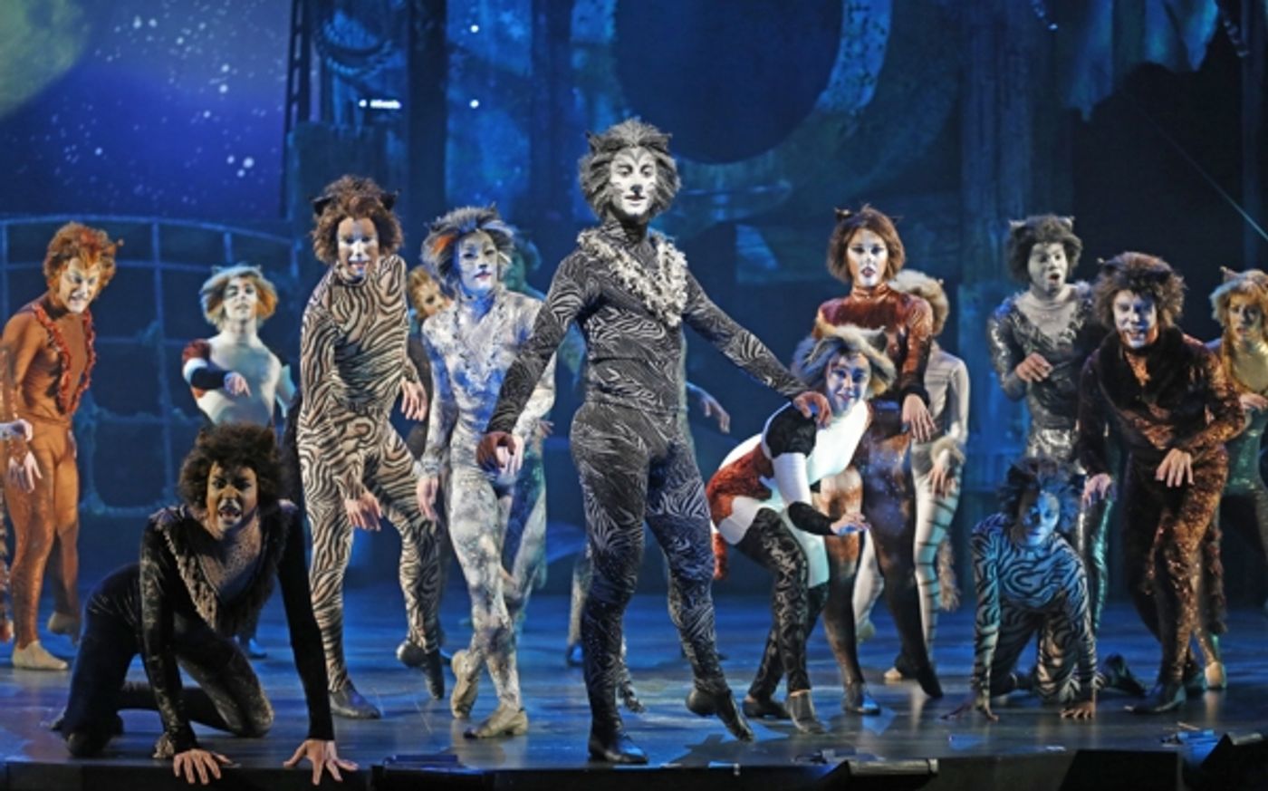 Photo Flash: First Look at CATS at the Paramount Theatre in Aurora  Image