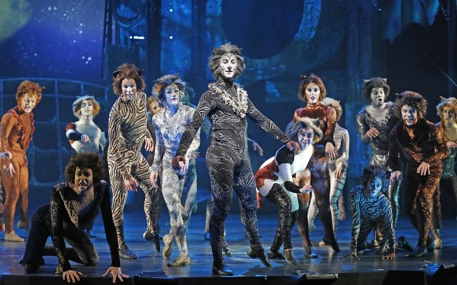 Photo Flash: First Look at CATS at the Paramount Theatre in Aurora Image