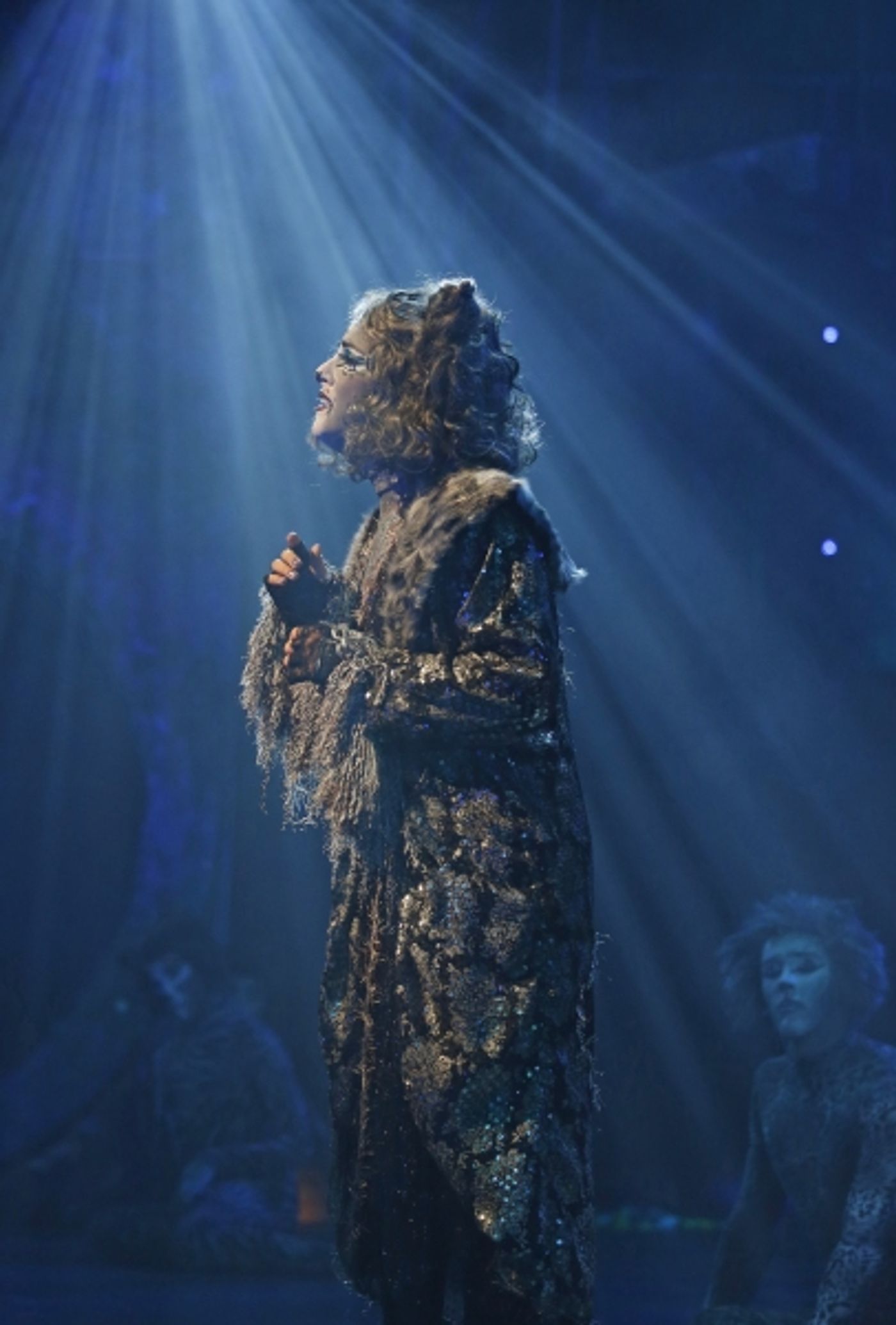 Photo Flash: First Look at CATS at the Paramount Theatre in Aurora  Image