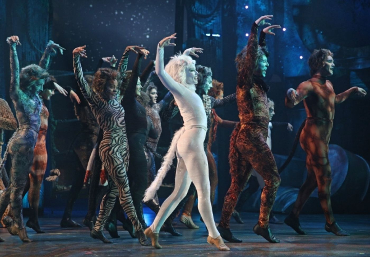 Photo Flash: First Look at CATS at the Paramount Theatre in Aurora  Image