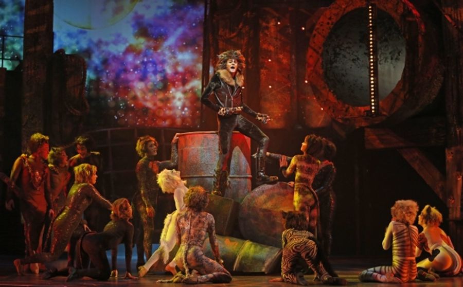 Photo Flash: First Look at CATS at the Paramount Theatre in Aurora Image