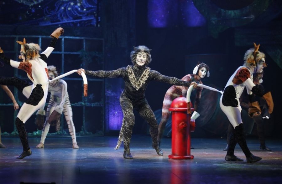 Photo Flash: First Look at CATS at the Paramount Theatre in Aurora Image