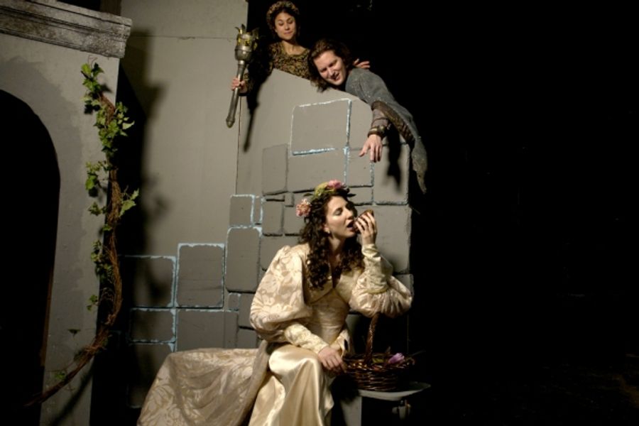 Photo Flash: First Look at Two Operatic Musicals at TNC - RAPPACCINI'S DAUGHTER and OUT THE WINDOW Image