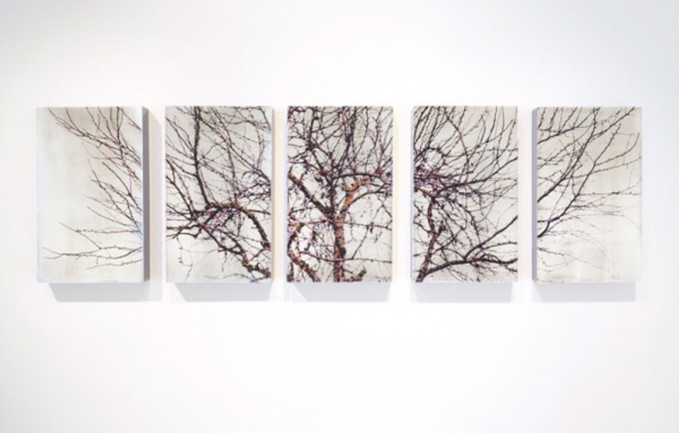 Photo Flash: Gallery Henoch Presents a Spotlight on Susan Goldsmith and Janet Rickus  Image