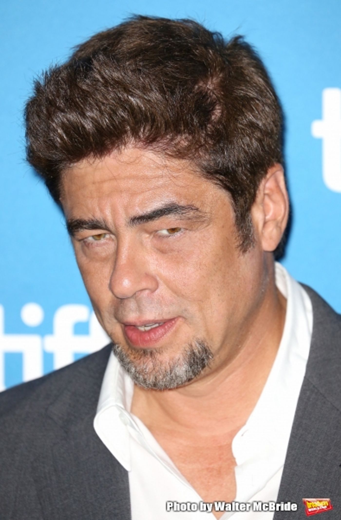 Photo Coverage: Inside TIFF Photo Call for ESCOBAR: PARADISE LOST Image