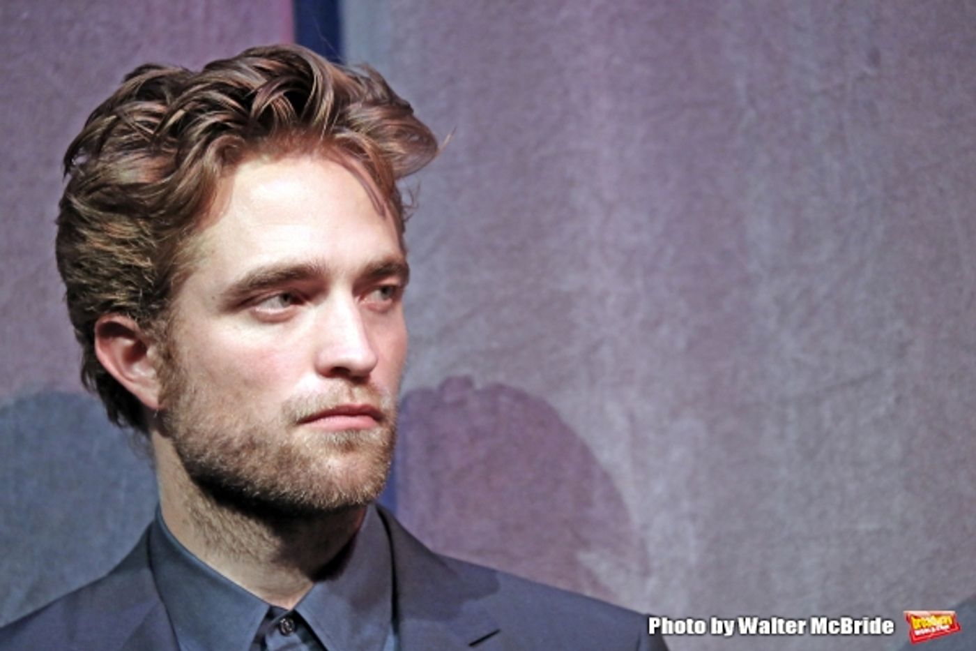 Photo Coverage: Inside the TIFF Presentation for MAPS TO THE STARS Image