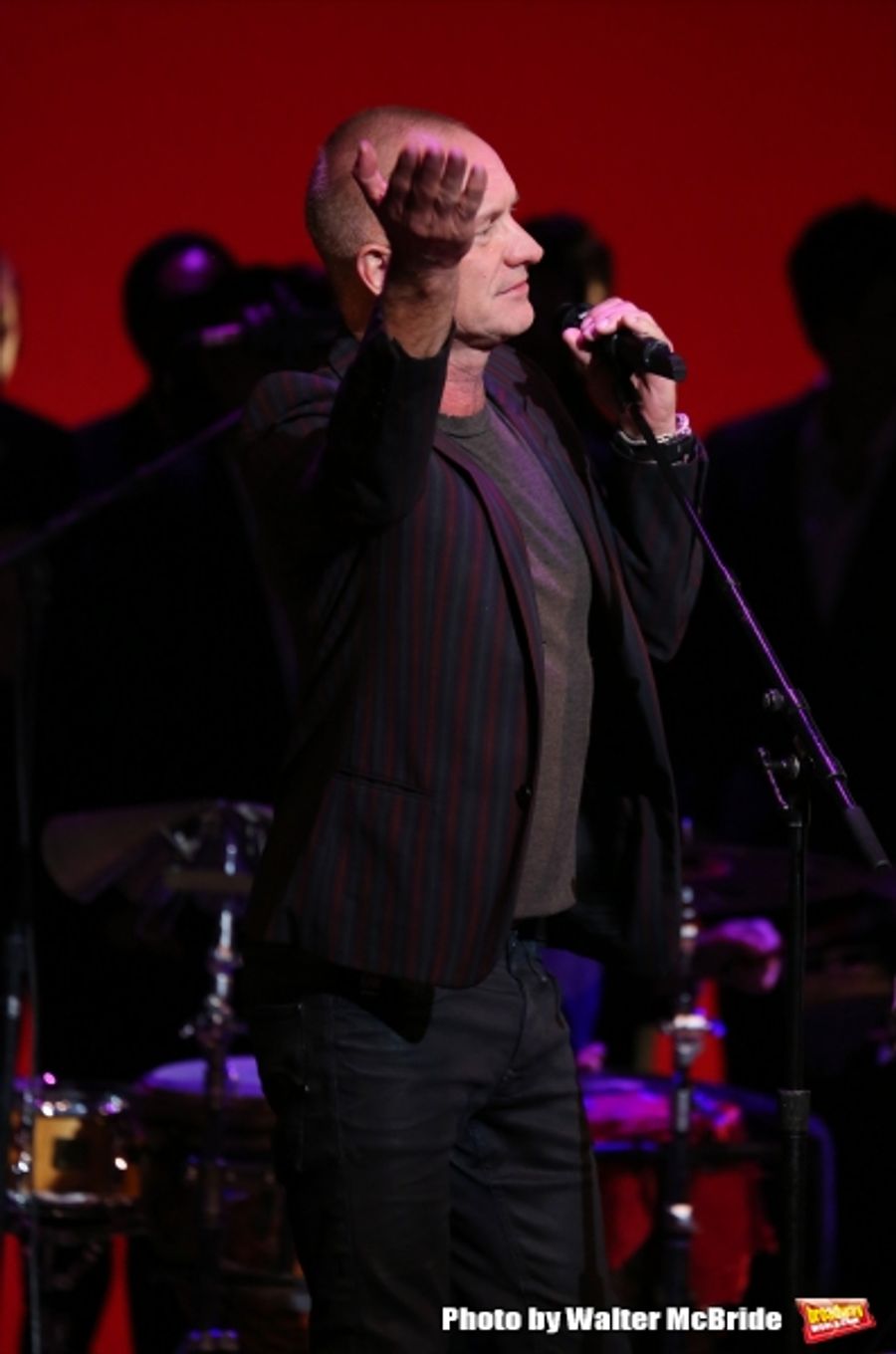 Photo Coverage: Broadway Sings for Global Equality - Inside UPRISING OF LOVE with Sting, LuPone, Porter & More! Image