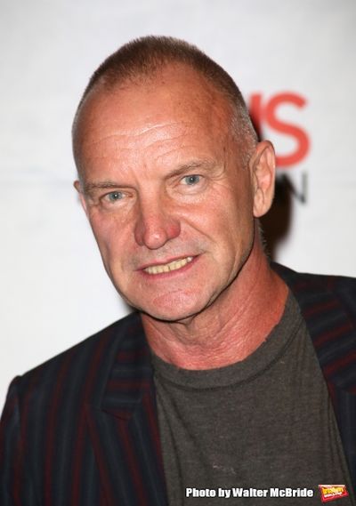 Sting  Photo