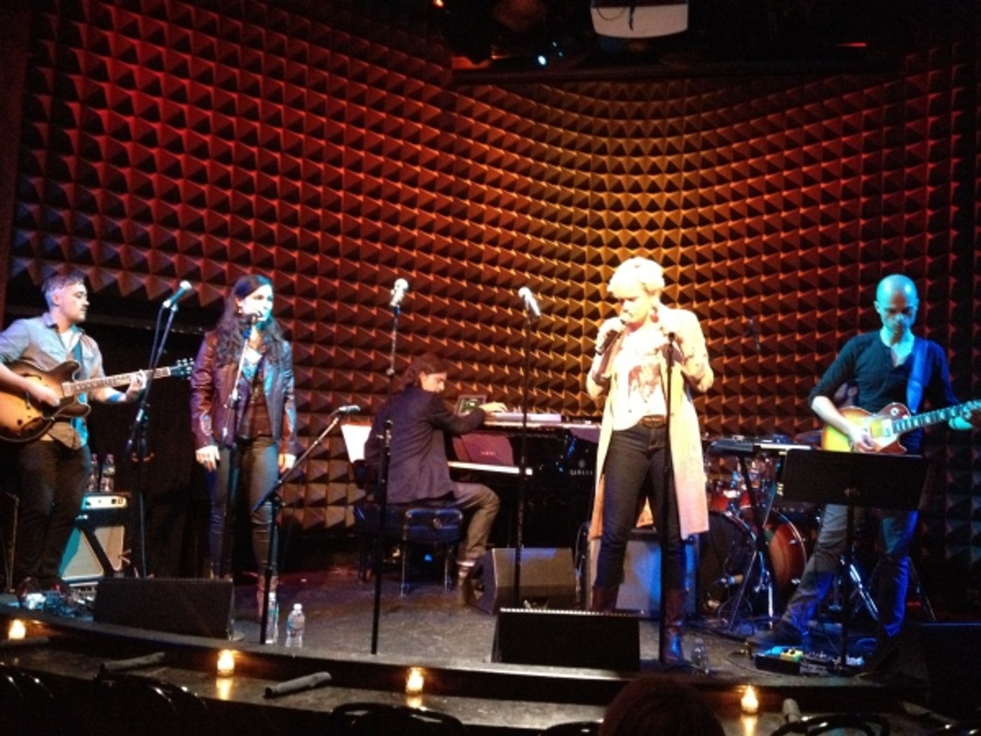Photo Flash: Cast of 'REVOLUTION IN THE ELBOW' Plays Joe's Pub  Image