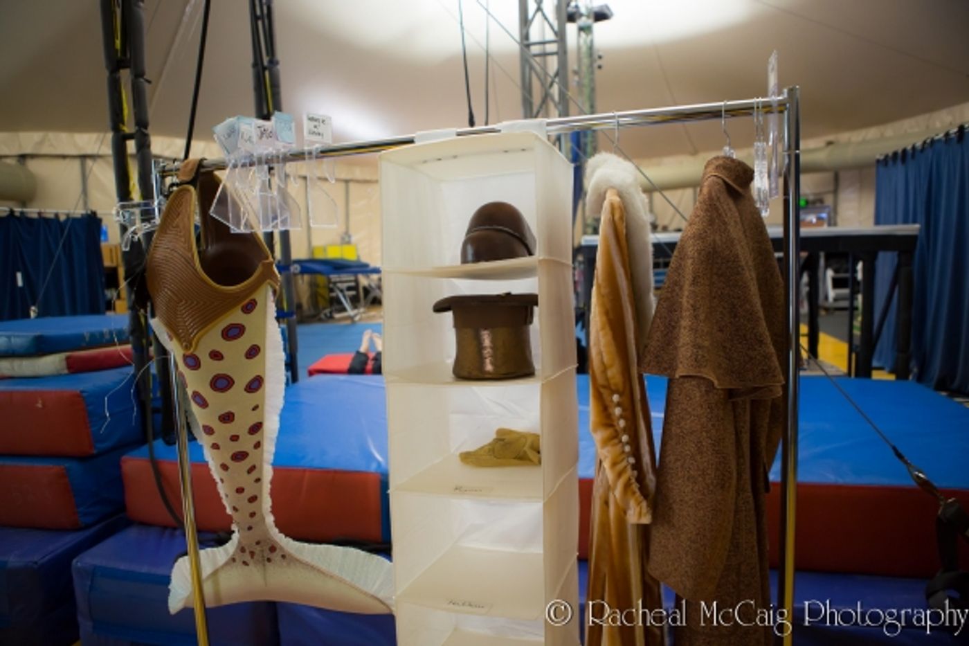 BWW Exclusive: Backstage at Cirque du Soleil's 'KURIOS' Image