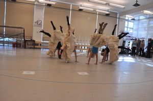 Megan Sikora and the Can-Can Dancers @ BroadwayWorld Megan Sikora and the Can-Can Dancers Photo