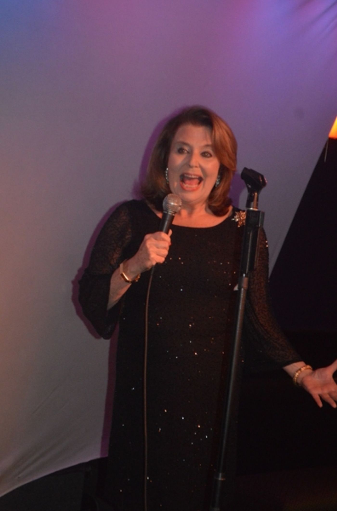 Photo Flash: Chuck Cooper, Bob Ari & More Join Randie Levine-Miller for BROADWAY SHOWSTOPPER DIVOS  Image