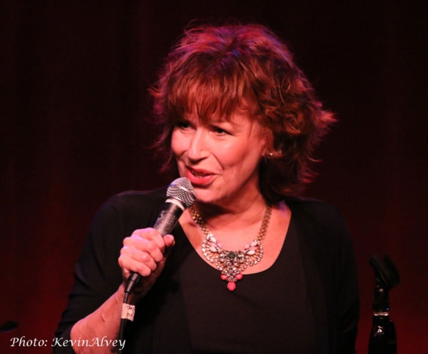 Photo Flash: Stephanie J. Block, Joy Behar, Bryce Pinkham & More Join Jamie deRoy at Birdland  Image