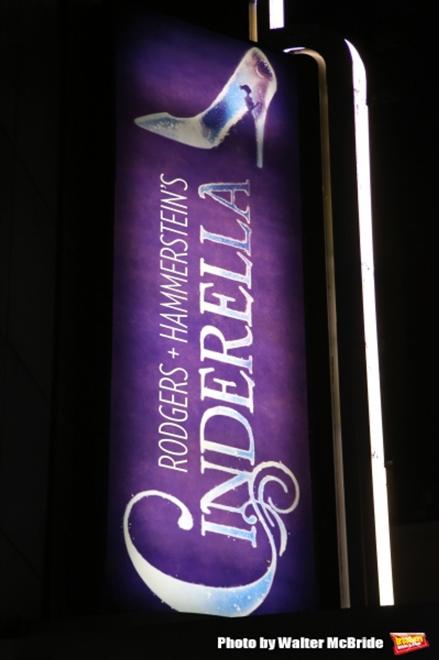 Photos: Academy Award Nominee & CINDERELLA TV Star Lesley Ann Warren Joins Broadway Show for Encore! Image