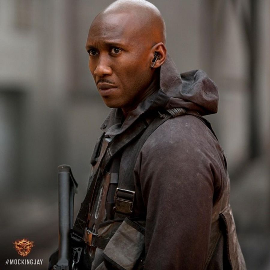 Photo Flash: Eight New Character Posters for THE HUNGER GAMES: MOCKINGJAY - PART 1 Image