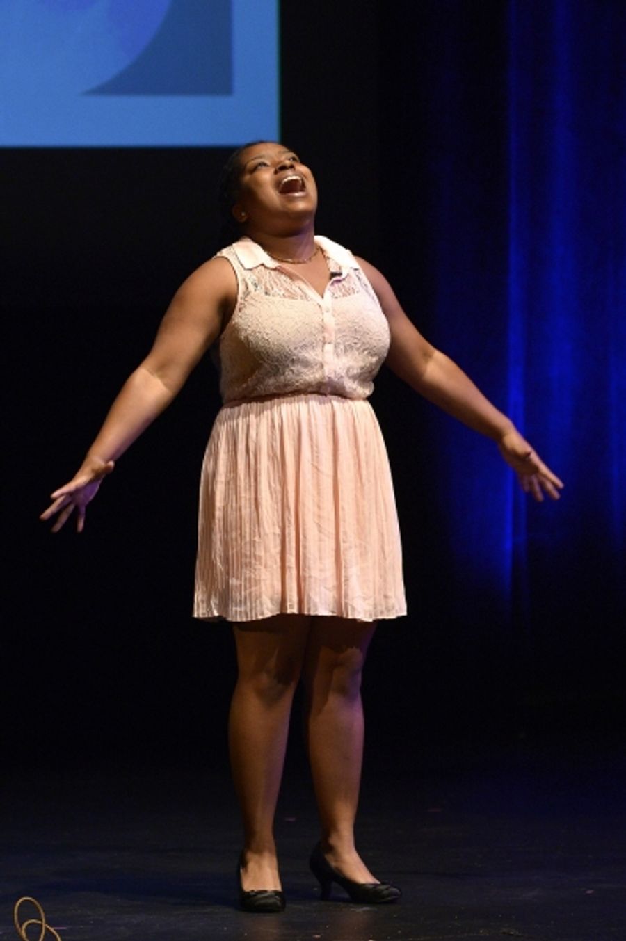 Photo and Video Flash: Huntington's 10th Anniversary Calderwood Pavilion Celebration Image