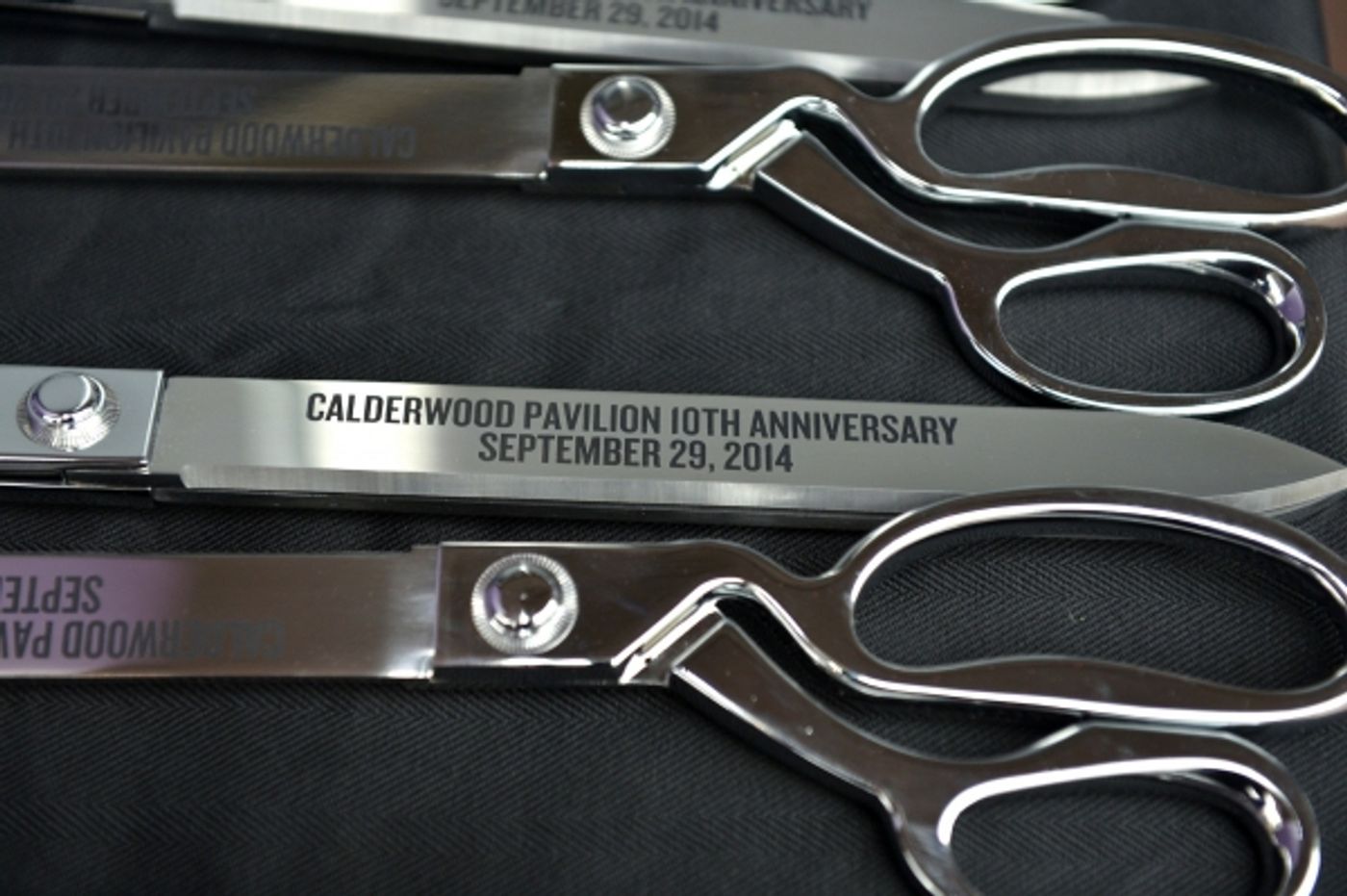 Photo and Video Flash: Huntington's 10th Anniversary Calderwood Pavilion Celebration  Image