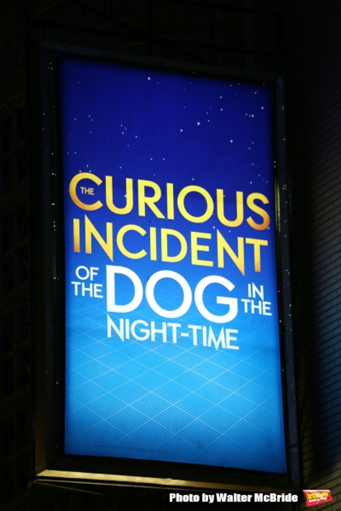 Photo Coverage: THE CURIOUS INCIDENT OF THE DOG IN THE NIGHT-TIME Cast Takes Opening Nght Bows Image