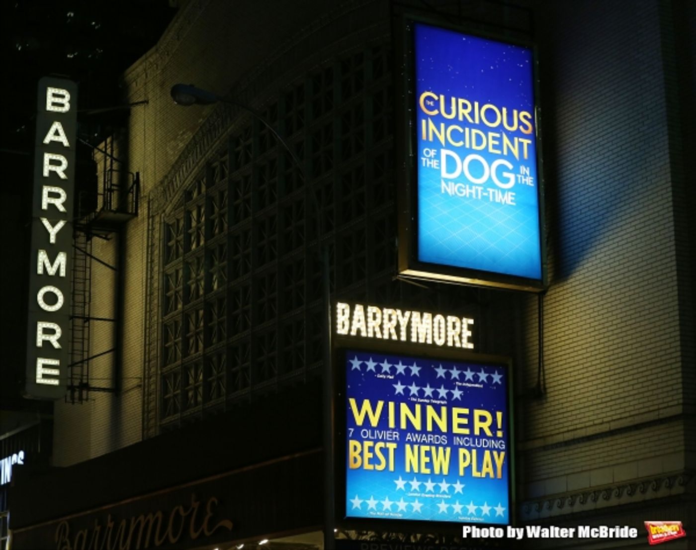Photo Coverage: THE CURIOUS INCIDENT OF THE DOG IN THE NIGHT-TIME Cast Takes Opening Nght Bows Image