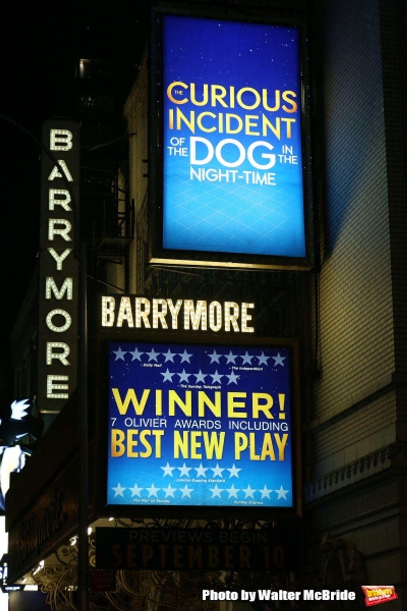 Photo Coverage: THE CURIOUS INCIDENT OF THE DOG IN THE NIGHT-TIME Cast Takes Opening Nght Bows Image