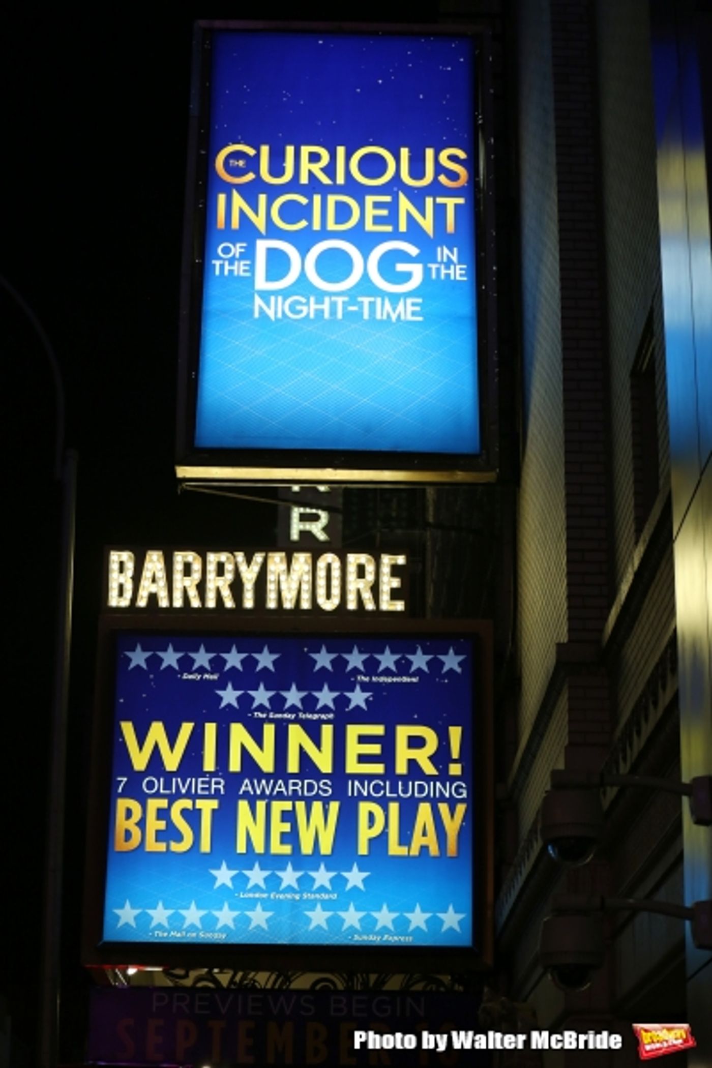 Photo Coverage: THE CURIOUS INCIDENT OF THE DOG IN THE NIGHT-TIME Cast Takes Opening Nght Bows Image