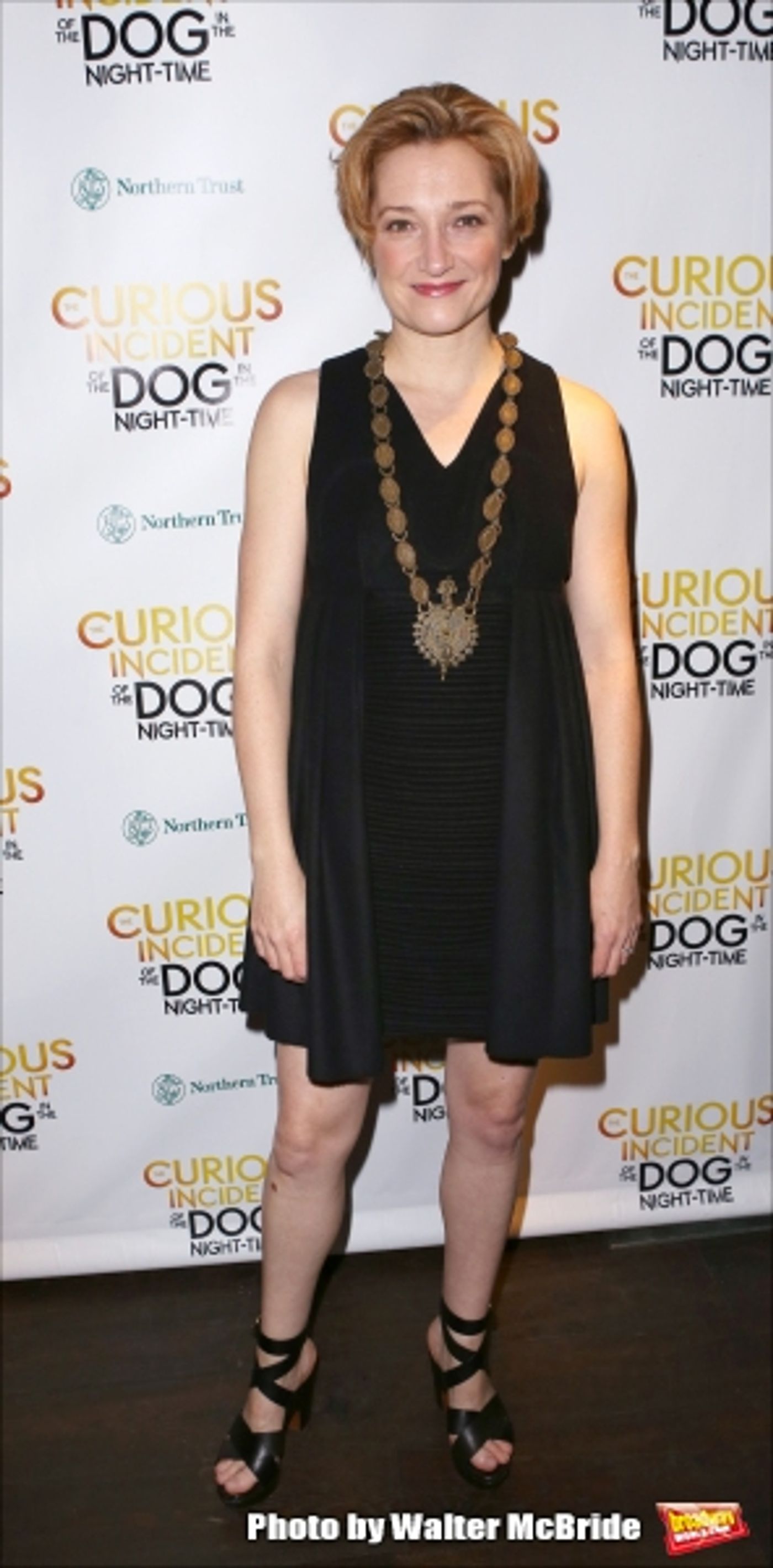 Photo Coverage: THE CURIOUS INCIDENT OF THE DOG IN THE NIGHT-TIME Company Celebrates Opening Night! Image