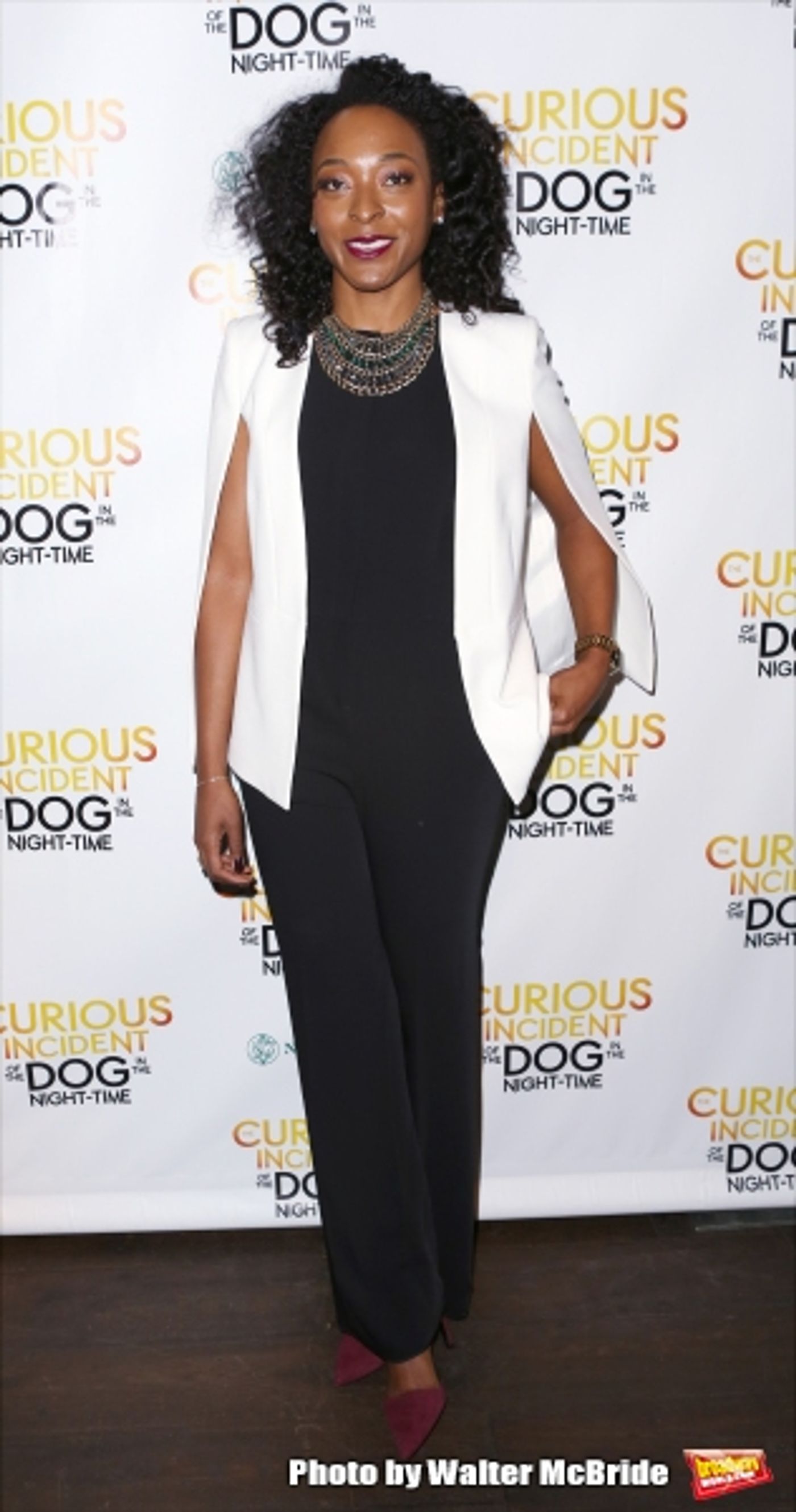 Photo Coverage: THE CURIOUS INCIDENT OF THE DOG IN THE NIGHT-TIME Company Celebrates Opening Night! Image