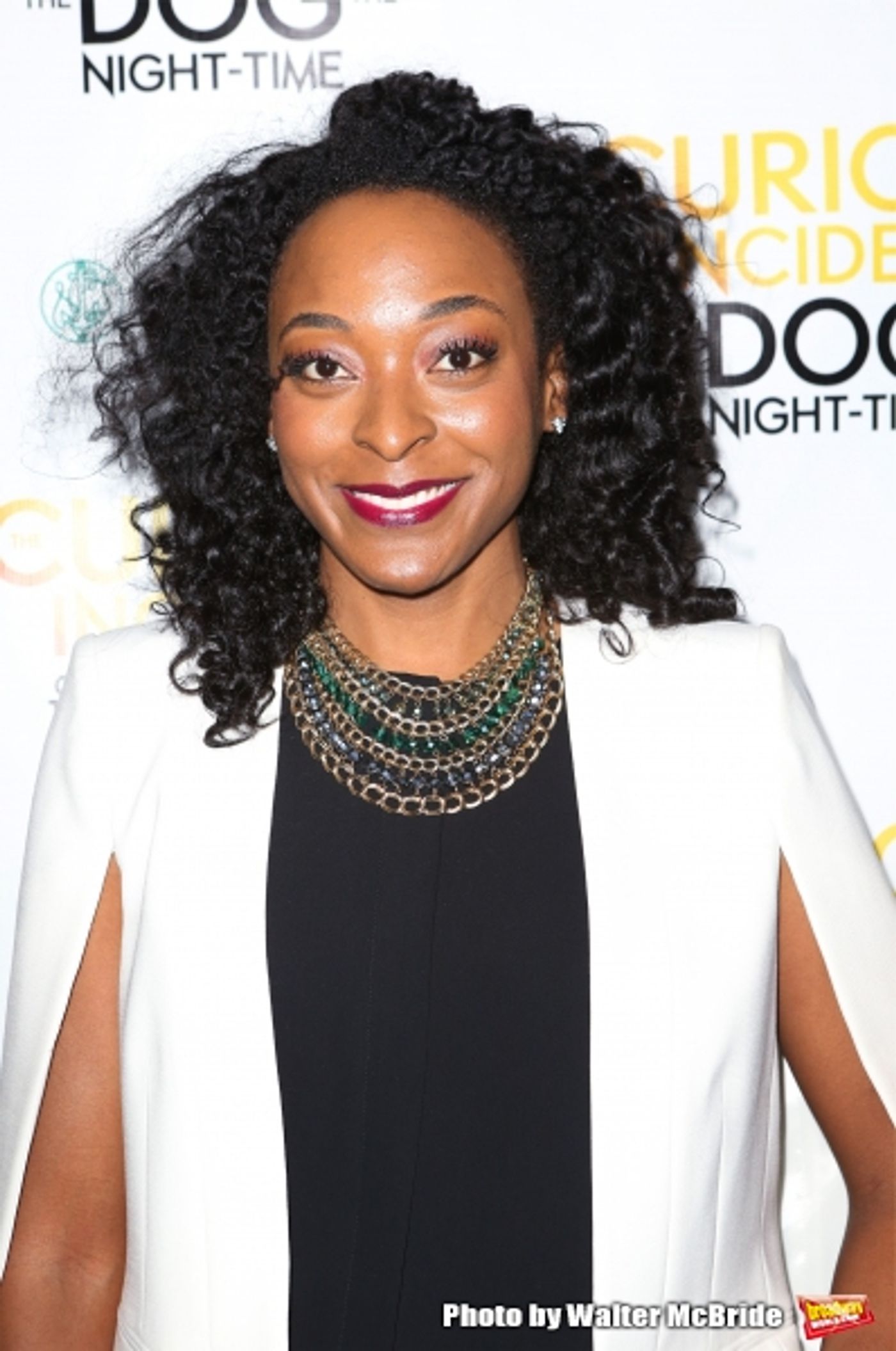 Photo Coverage: THE CURIOUS INCIDENT OF THE DOG IN THE NIGHT-TIME Company Celebrates Opening Night! Image