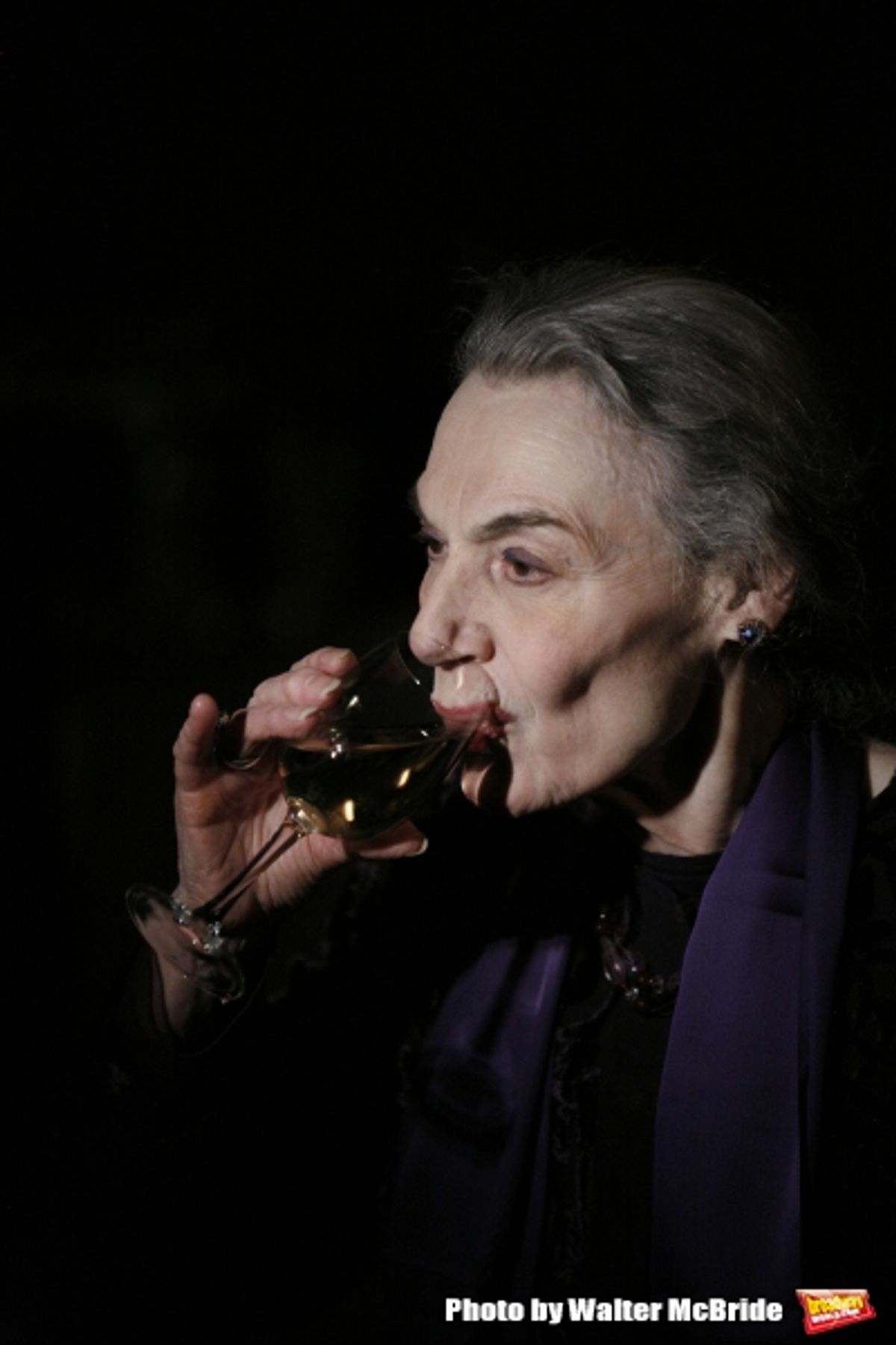 Marian Seldes attending the Vineyard Theatre Gala Honoring Actress Marian Seldes at the Rainbow Room in New York City. February 9, 2009  at 