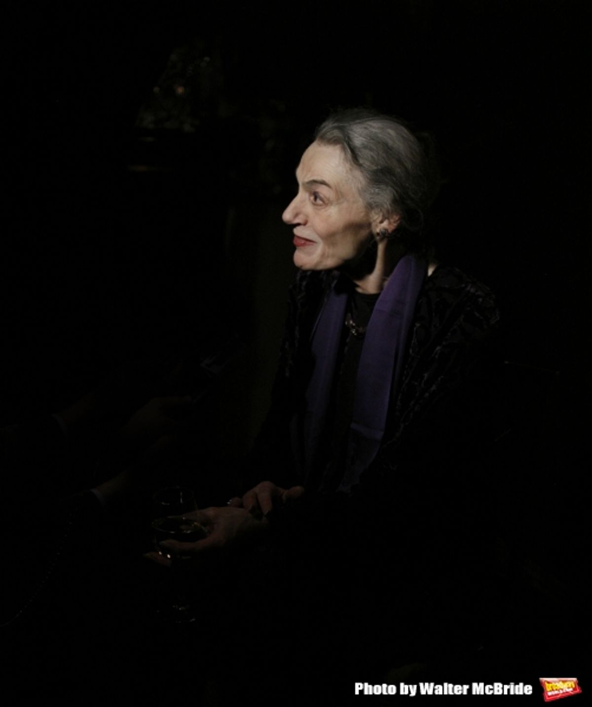 Marian Seldes attending the Vineyard Theatre Gala Honoring Actress Marian Seldes at the Rainbow Room in New York City. February 9, 2009  at 