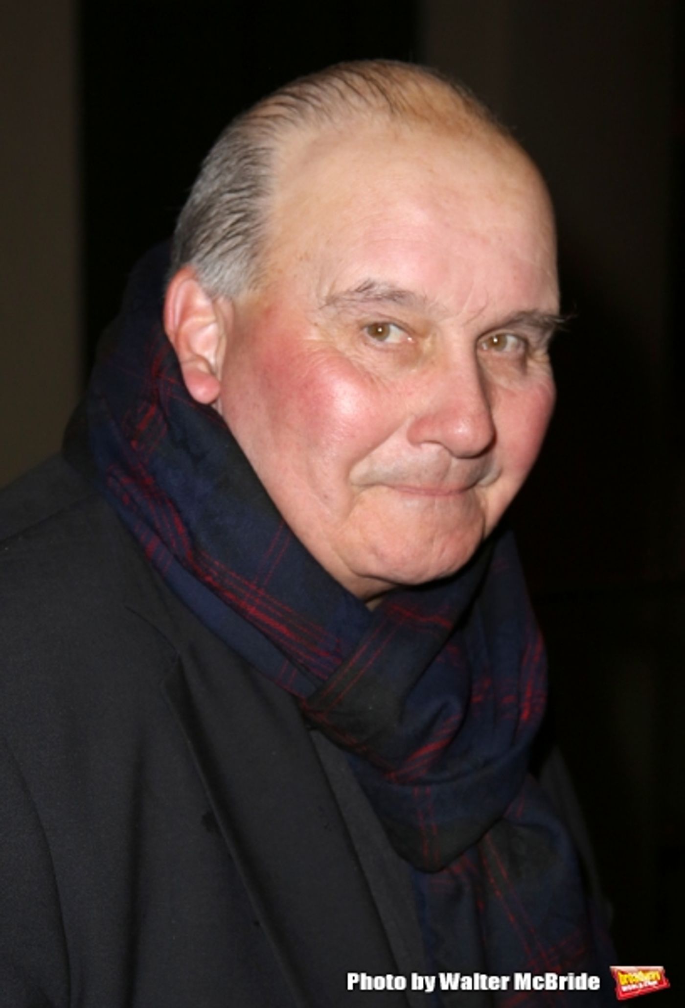 Photo Coverage: On the Red Carpet for IT'S ONLY A PLAY - Part 1  Image