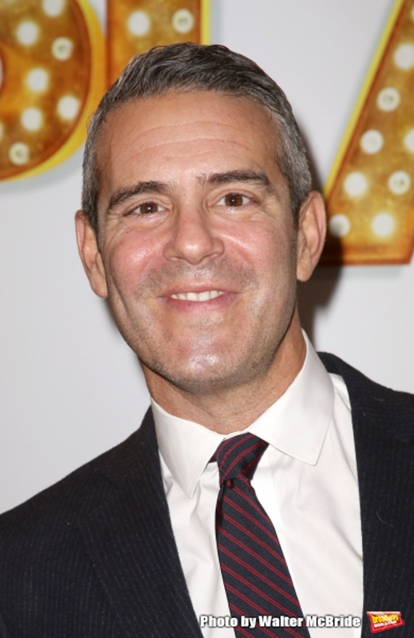 Photo Coverage: On the Red Carpet for IT'S ONLY A PLAY -Part 2  Image