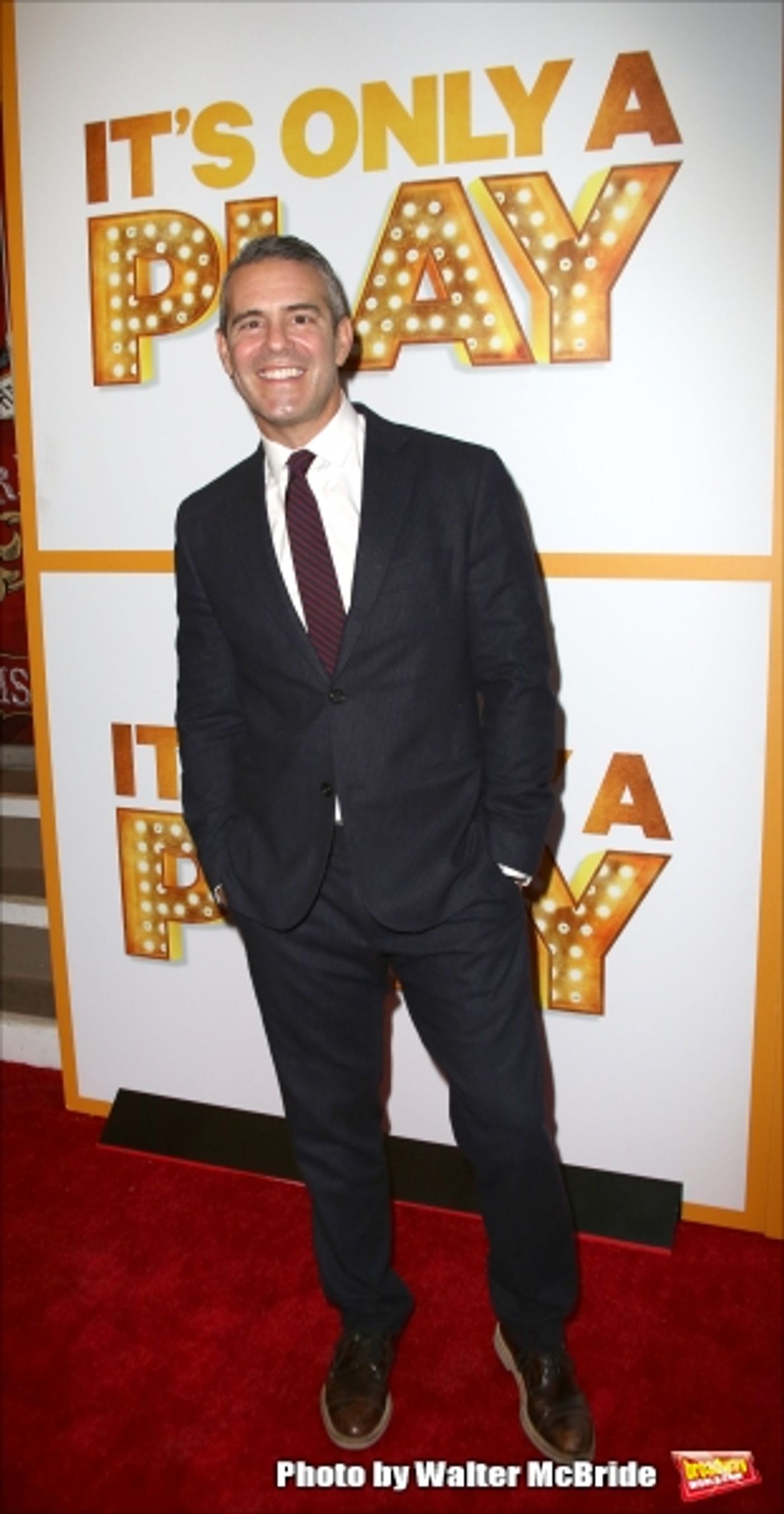 Photo Coverage: On the Red Carpet for IT'S ONLY A PLAY -Part 2  Image