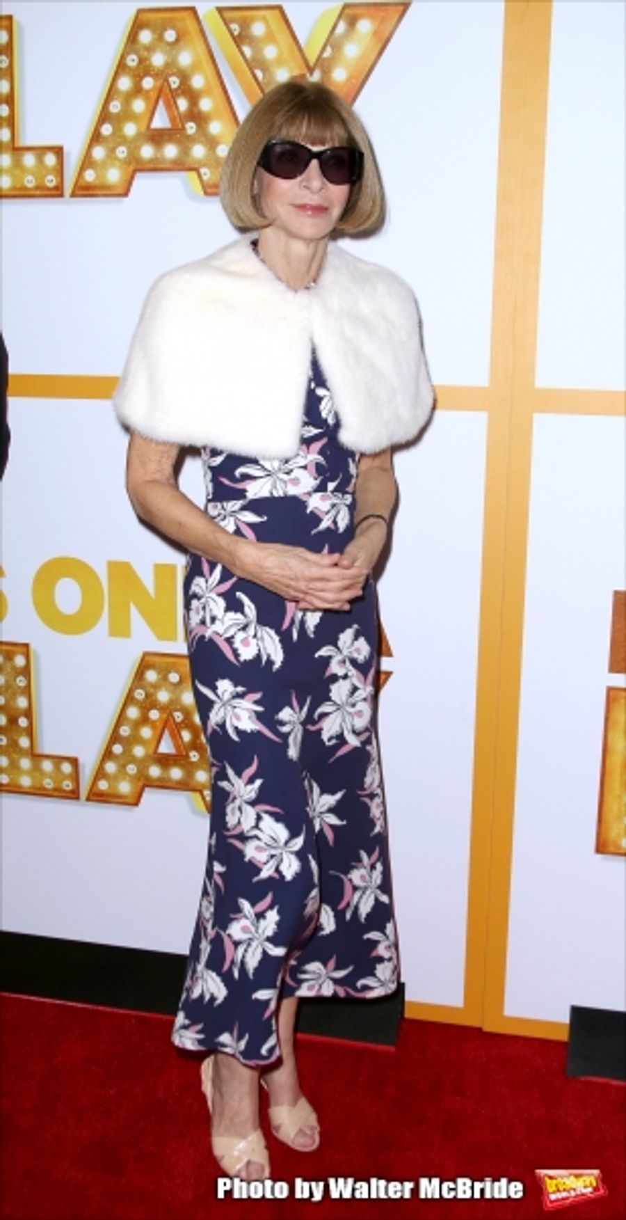 Photo Coverage: On the Red Carpet for IT'S ONLY A PLAY -Part 2 Image