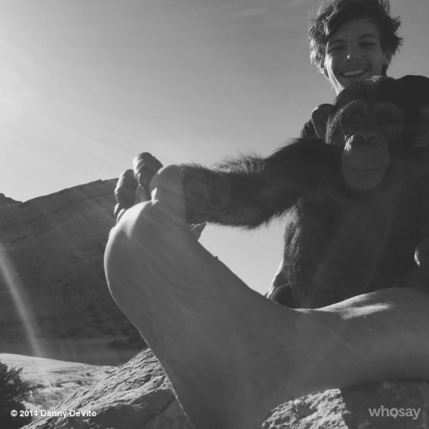 Photo Flash: Danny DeVito Collaborates With One Direction for Latest Music Video Photo Flash: Danny DeVito Collaborates With One Direction for Latest Music Video Image